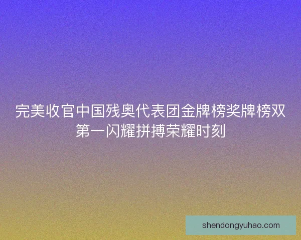 完美收官中国残奥代表团金牌榜奖牌榜双第一闪耀拼搏荣耀时刻
