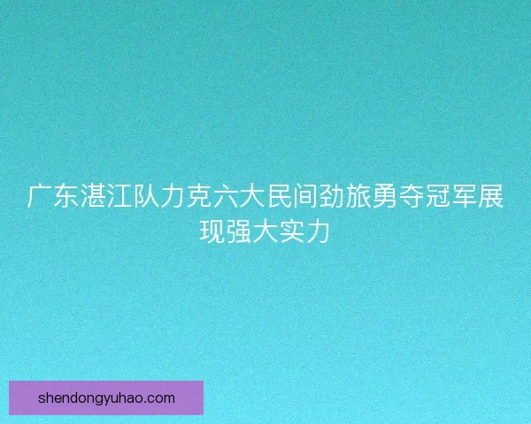 广东湛江队力克六大民间劲旅勇夺冠军展现强大实力