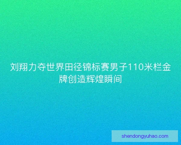刘翔力夺世界田径锦标赛男子110米栏金牌创造辉煌瞬间